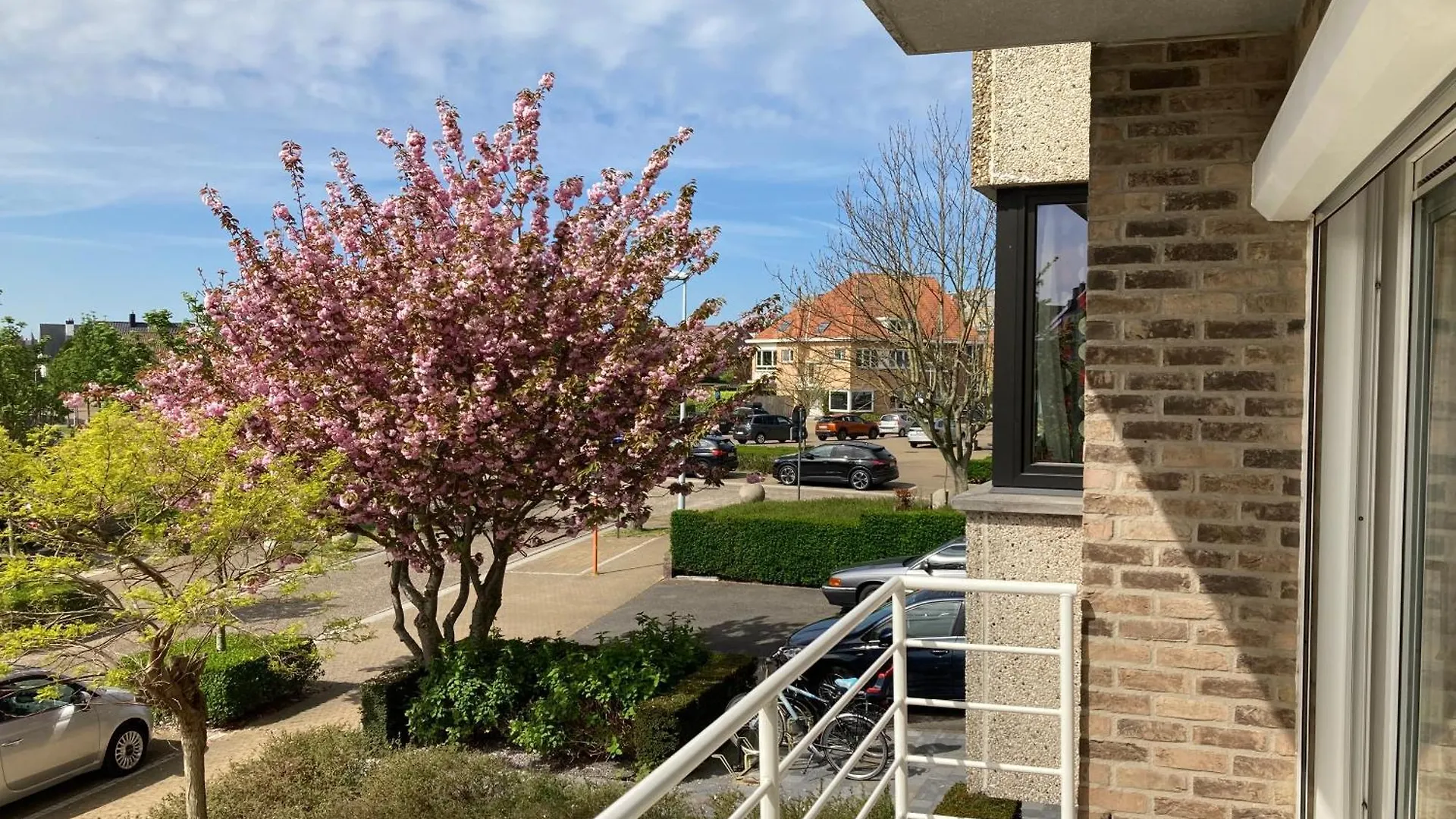 Vista Roses Apartment Ostend